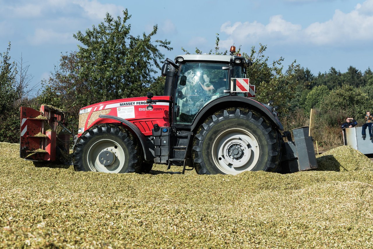 Bild 127 - Maisernte